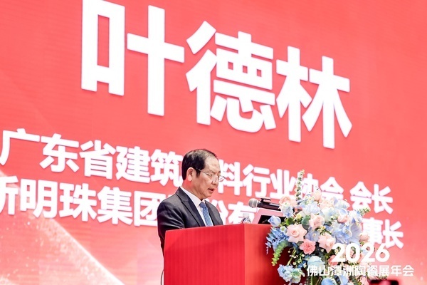 广东省建筑材料行业协会会长、新明珠集团股份有限公司董事长叶德林